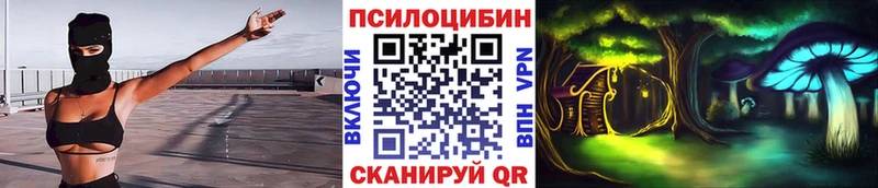 где можно купить наркотик Кондопога Галлюциногенные грибы Psilocybe